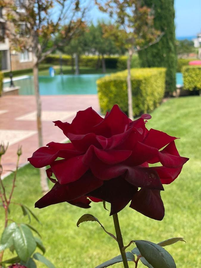 Provence Deluxe Apartment In Atia Resort Черноморец Экстерьер фото